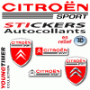 CITROEN SPORT sticker autocollant logo en relief 3 D Doming