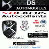 DS AUTOMOBILES sticker autocollant logo DS en relief 3 D Doming