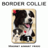 Magnet aimant chien BORDER COLLIE